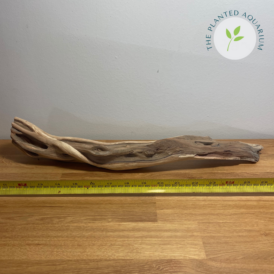 Manzanita Driftwood (Medium: 16 - 20