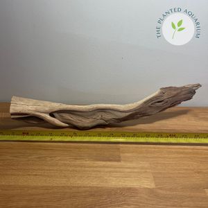 Manzanita Driftwood (Medium: 16 - 20")