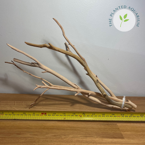 Manzanita Driftwood (Medium: 16 - 20")