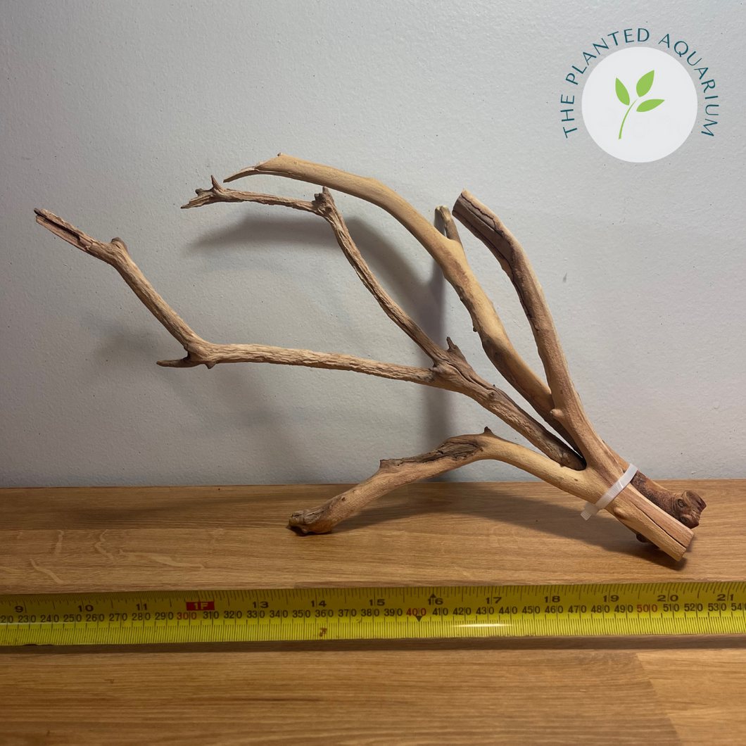 Manzanita Driftwood (Small: 12 - 16