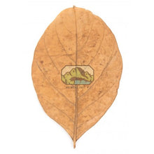 Load image into Gallery viewer, Jackfruit Leaves [Pack of 10]
